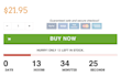 setup ecommerce store and provide unlimited traffic service
