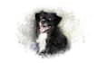 draw realistic portrait cat , dog , animal or any pets in watercolor