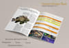 design book, magazine using indesign or canva
