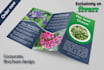 create an attractive bifold or trifold brochure design