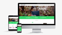 develop eyecatching wordpress sites and blogs