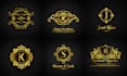 design unique luxury logo for your business and clothing brand
