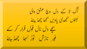 write punjabi poetry and lyrics