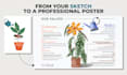 design a professional infographic