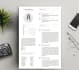 design a graphic  resume CV to stand out from competitors