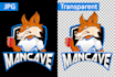 convert any file to vector, transparent,high resolution