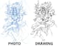turn picture to line drawing