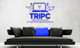 design your modern logo and business card  design