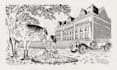 draw professional pen and ink hand drawn illustration