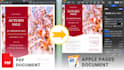 convert PDF to pages