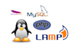 setup apache or nginx server on your linux vps