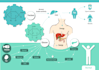 create process diagram 3d graphic design