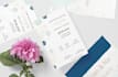 design amazing wedding invitations, bday ,baby shower, baby birth certificate