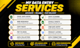 do accurate data entry, excel, web research, copy paste and data cleaning