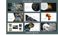 design a powerpoint presentation , lecture and webinar