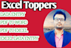 do excel data entry, typing, copy paste, data entry