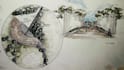 draw freehand landscape scenery drawings