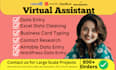 be your virtual assistant for data entry, data mining, copy paste, web research