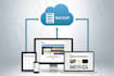 do wordpress full website creation for you