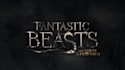 create a fantastic beasts logo with your name