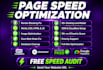 do wordpress speed optimization for google pagespeed insights