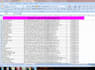 help you with quick data entry and web research