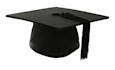 advise you on your dissertation or thesis