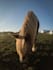 edit your gopro photos