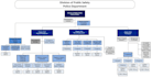 design infographic flowchart, diagrams and presentation