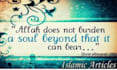 write islamic content blog posts and articles