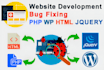 fix wordpress, PHP errors, laravel, mysql, HTML, CSS, js bugs
