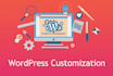 customize wordpress themes and plugins