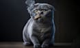 do photo manipulation and realistic photo composition