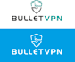 craft a premium quality  logo  design