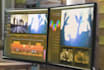 professionally edit your any kind of videos within 24 hours