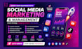 be your social media manager, social media content creator