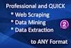 be your ultimate data entry assistant for 8hrs daily