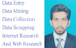 do data entry, data scrapping and web research