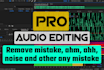 do audio editing within 24 hours