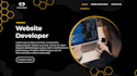 develop and design the professional wordpress website
