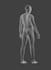 do the medical animation