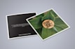 design a professional bifold or trifold brochure