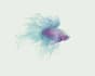 do realistic digital watercolor illustrations