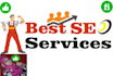 professional SEO and wordpress website ranking