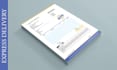 design invoice, quotation, receipt, letterhead in 4hrs