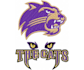 do 3d puff embroidery digitizing logo dst pes