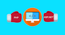 code in asp net,php,javascript to build web application and bug fixes