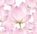 create hand drawn watercolor seamless patterns