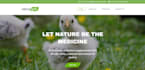 design a professional wordpress website for your business