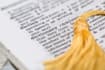 help you with nlp sentence classification